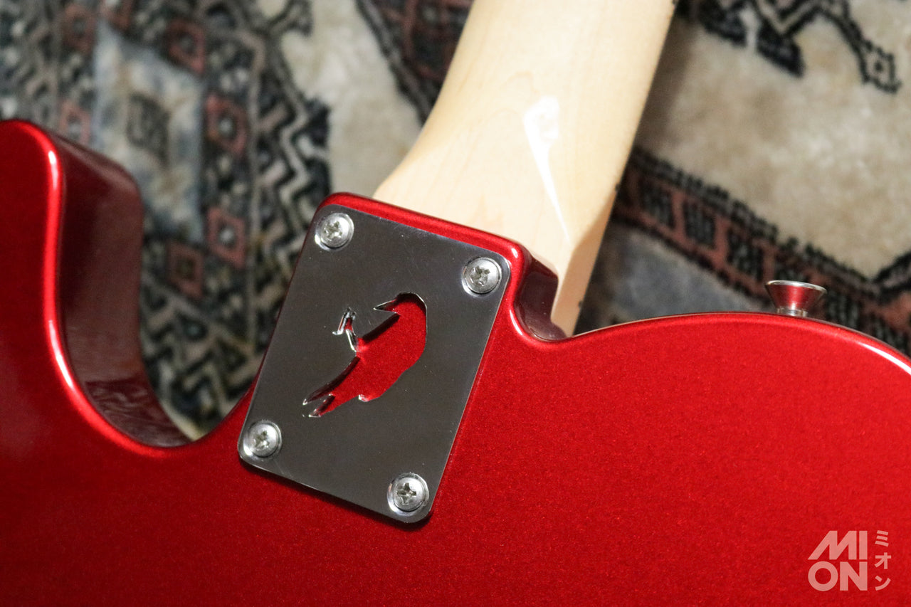 Fender Made in Japan Traditional '70s Telecaster Ash CAR 2017 w/ Slusser Custom Hardware