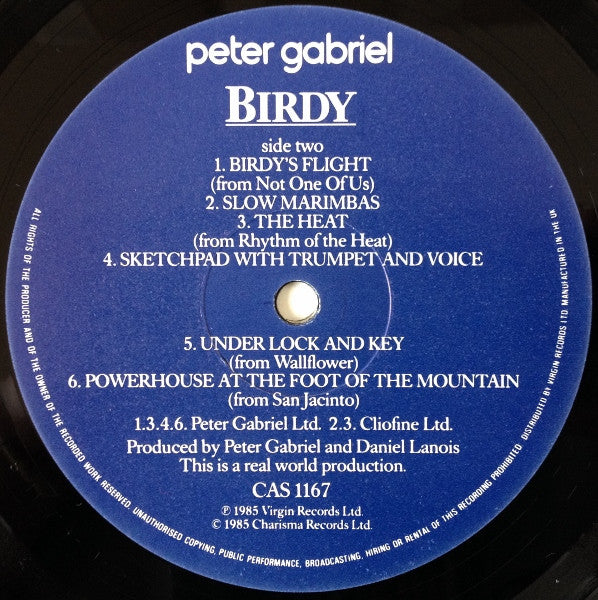 Birdy