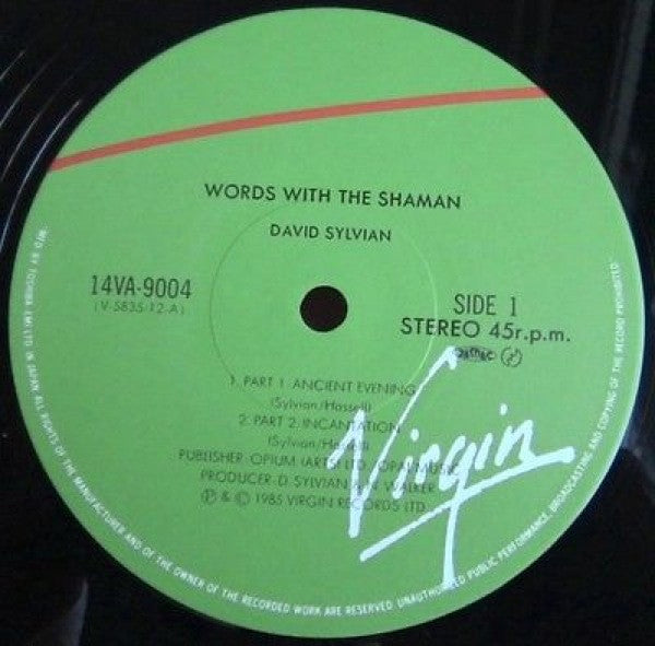 Words With The Shaman