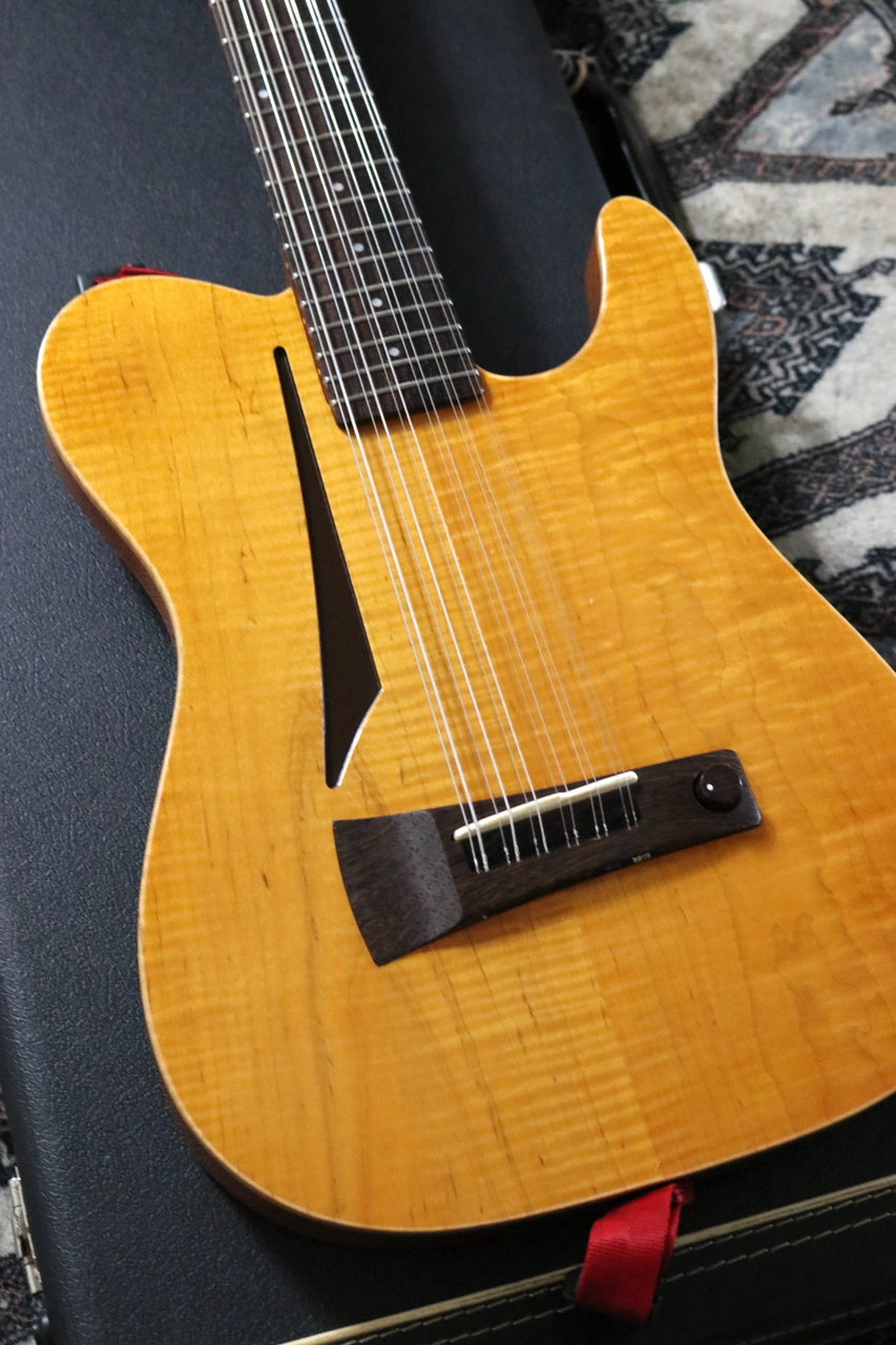 P-Project AI-12