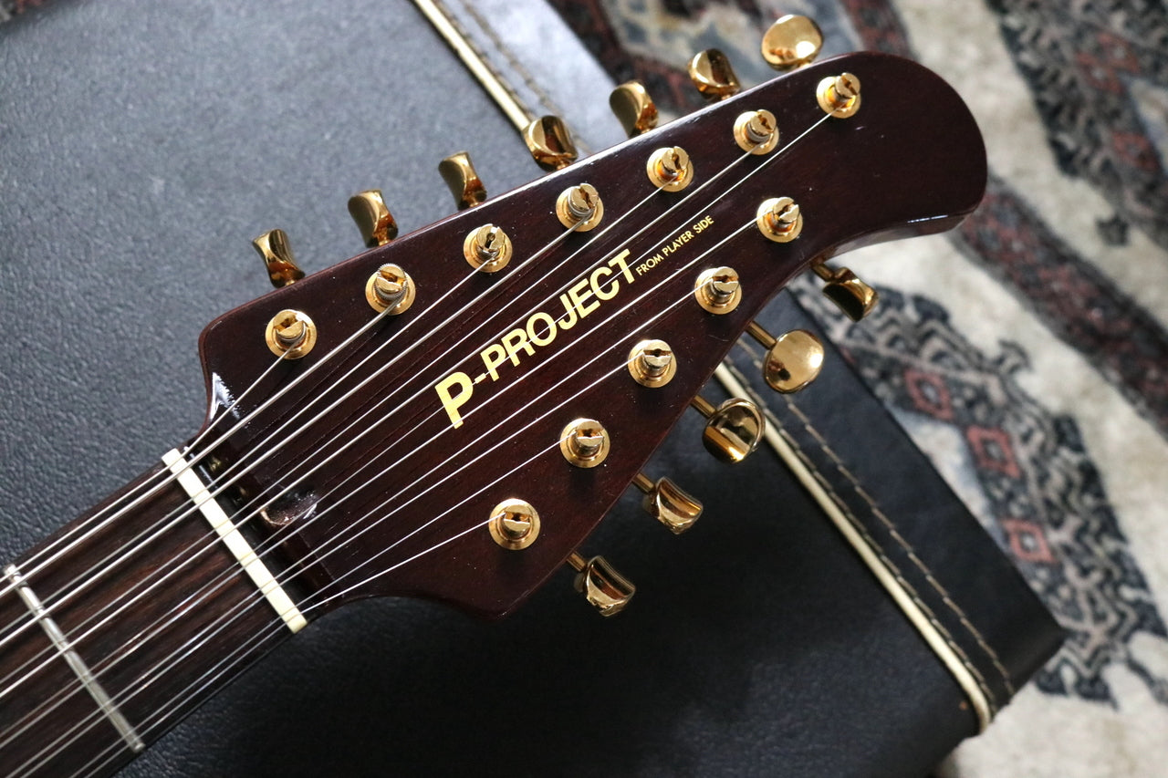P-Project AI-12