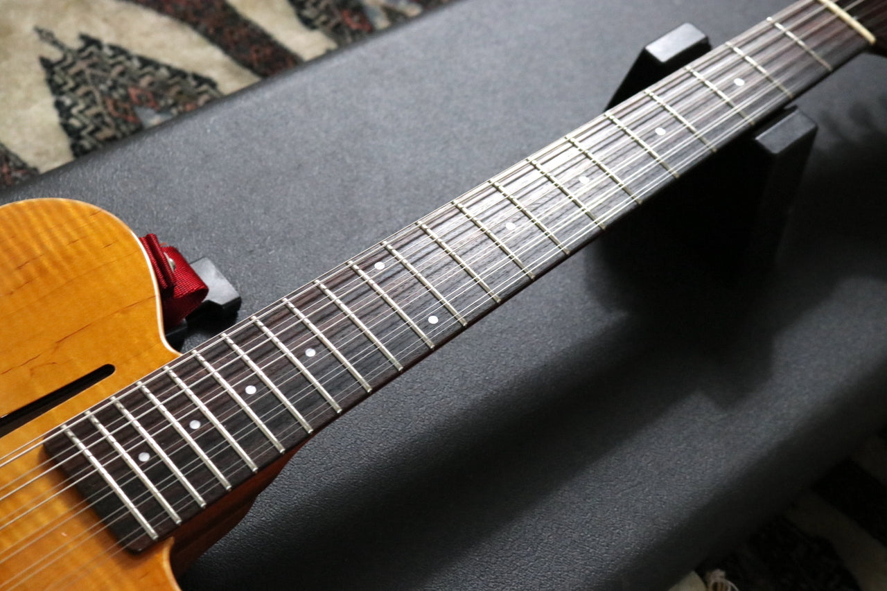 P-Project AI-12