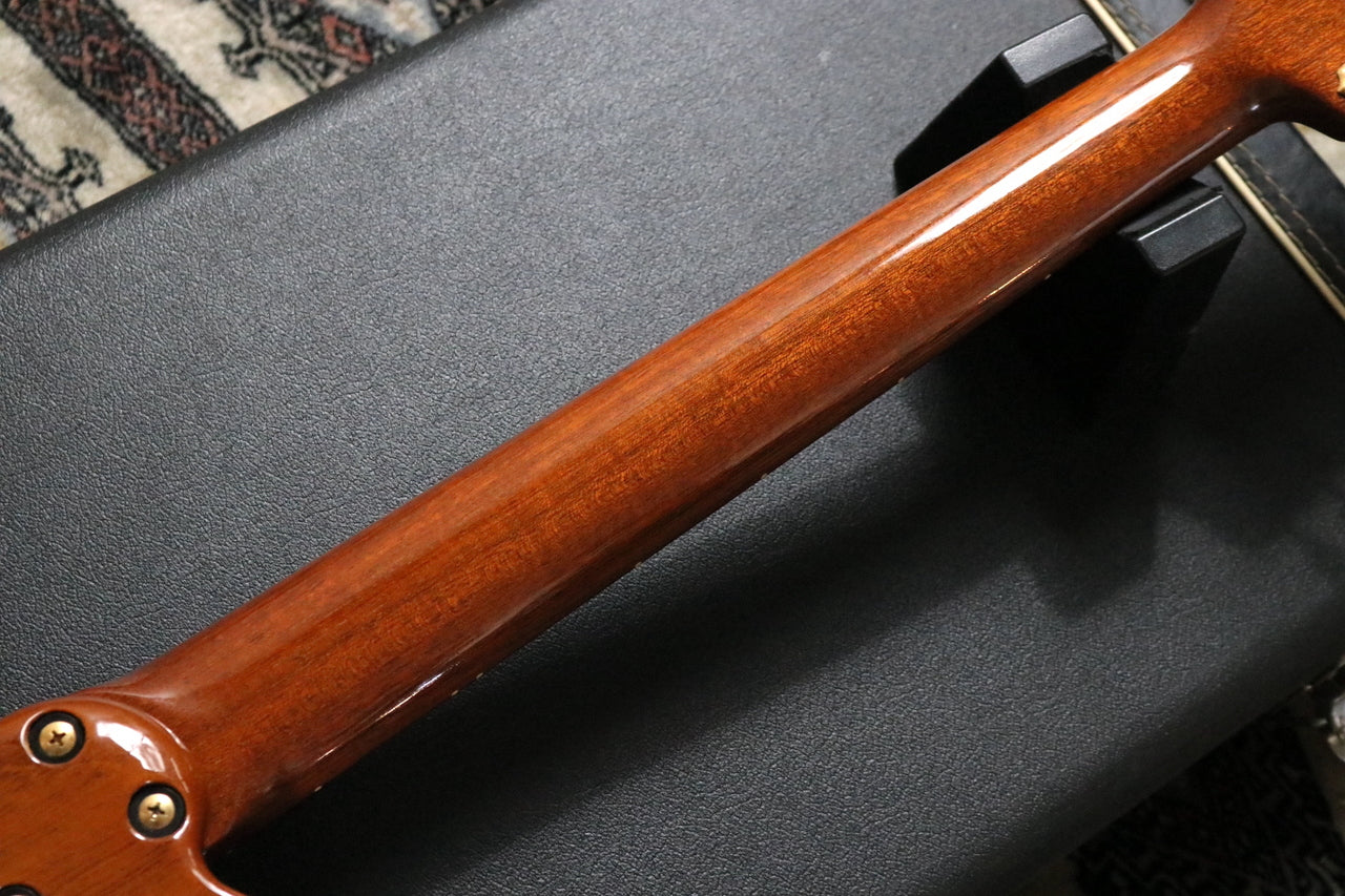 P-Project AI-12