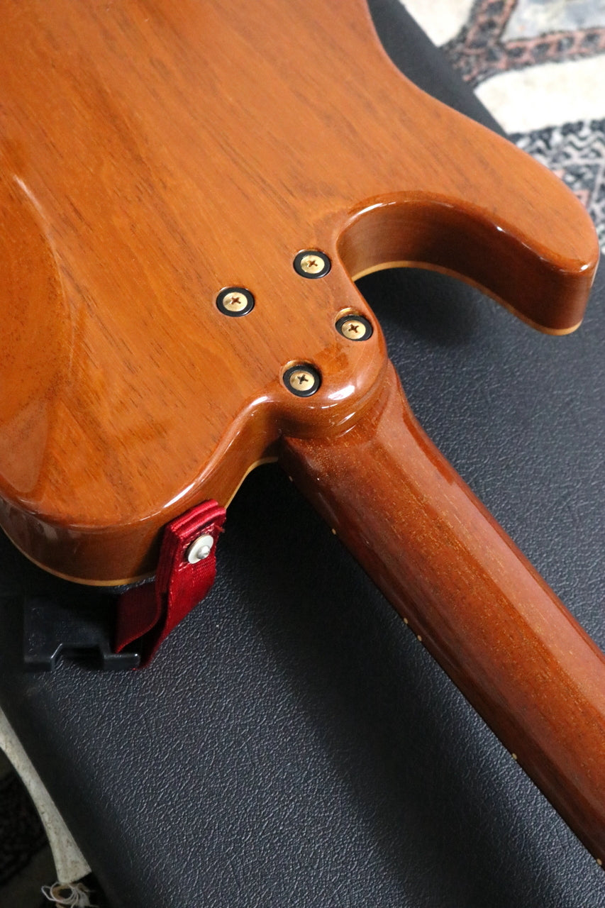 P-Project AI-12