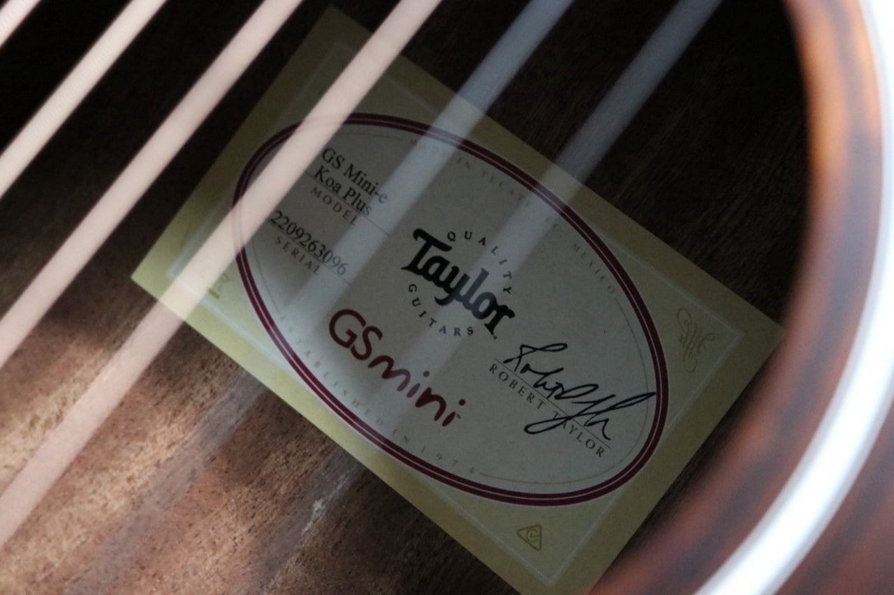 Taylor GS Mini-e Koa Plus [Taylor certified repairman worker]