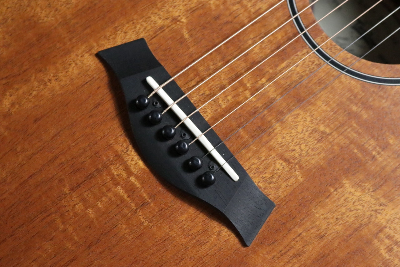 Taylor BT2e (Baby Taylor-e Mahogany) [Taylor-approved repairman worker]