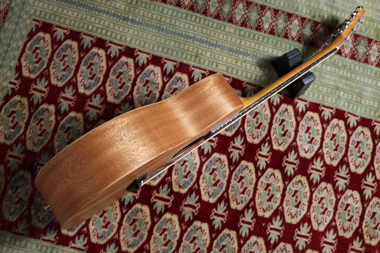 Taylor GS-Mini Mahogany [Taylor certified repairman store]