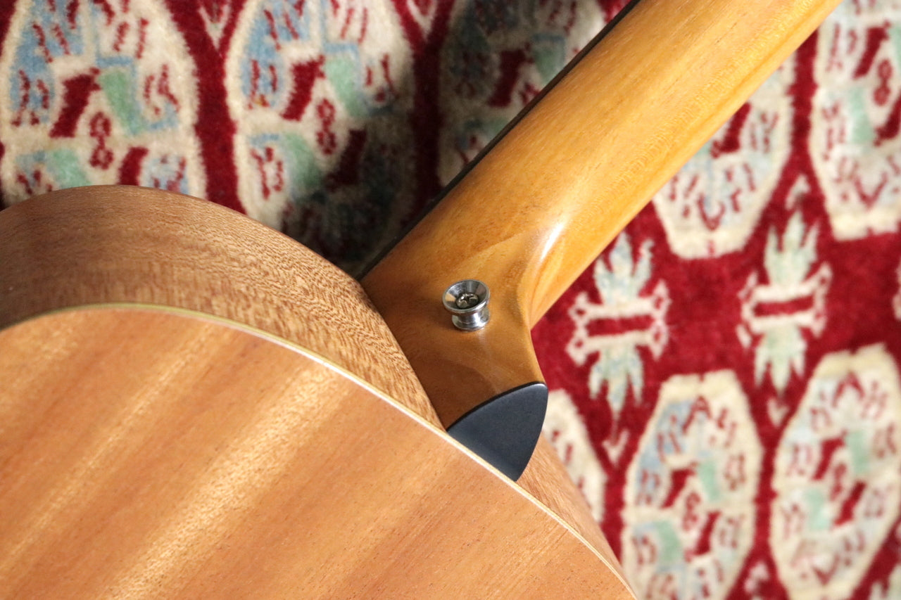 Taylor GS-Mini Mahogany [Taylor certified repairman store]