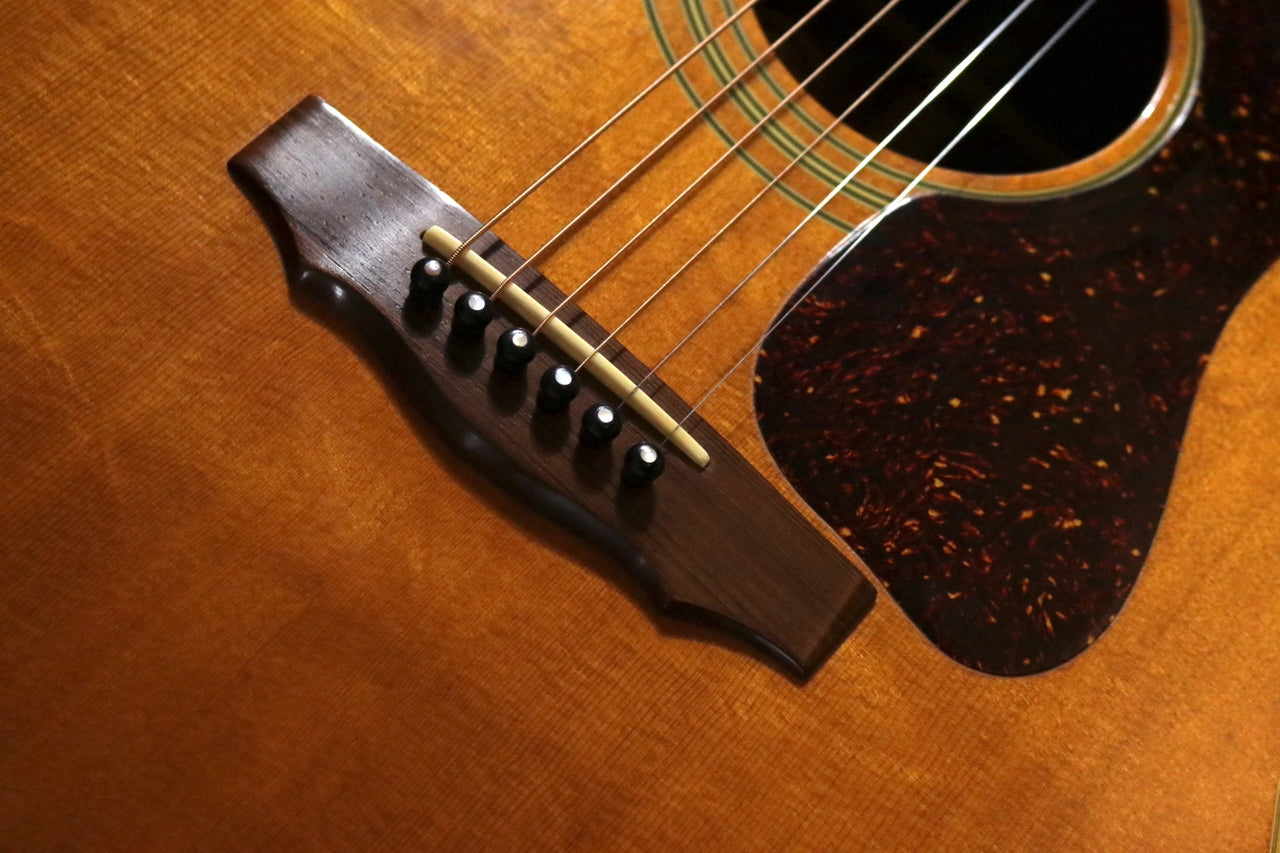 GUILD D-40 NT 1977