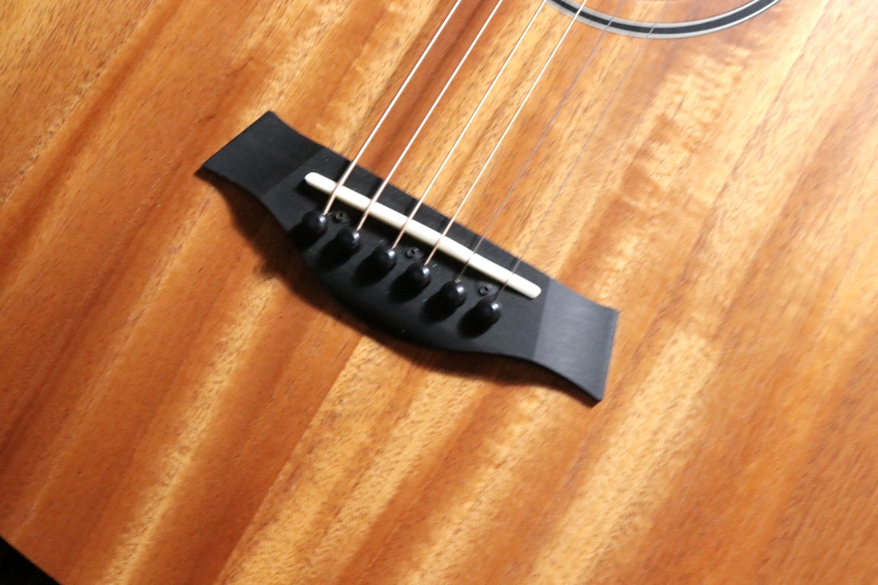 Taylor BT2e (Baby Taylor-e Mahogany) [Taylor-approved repairman worker]