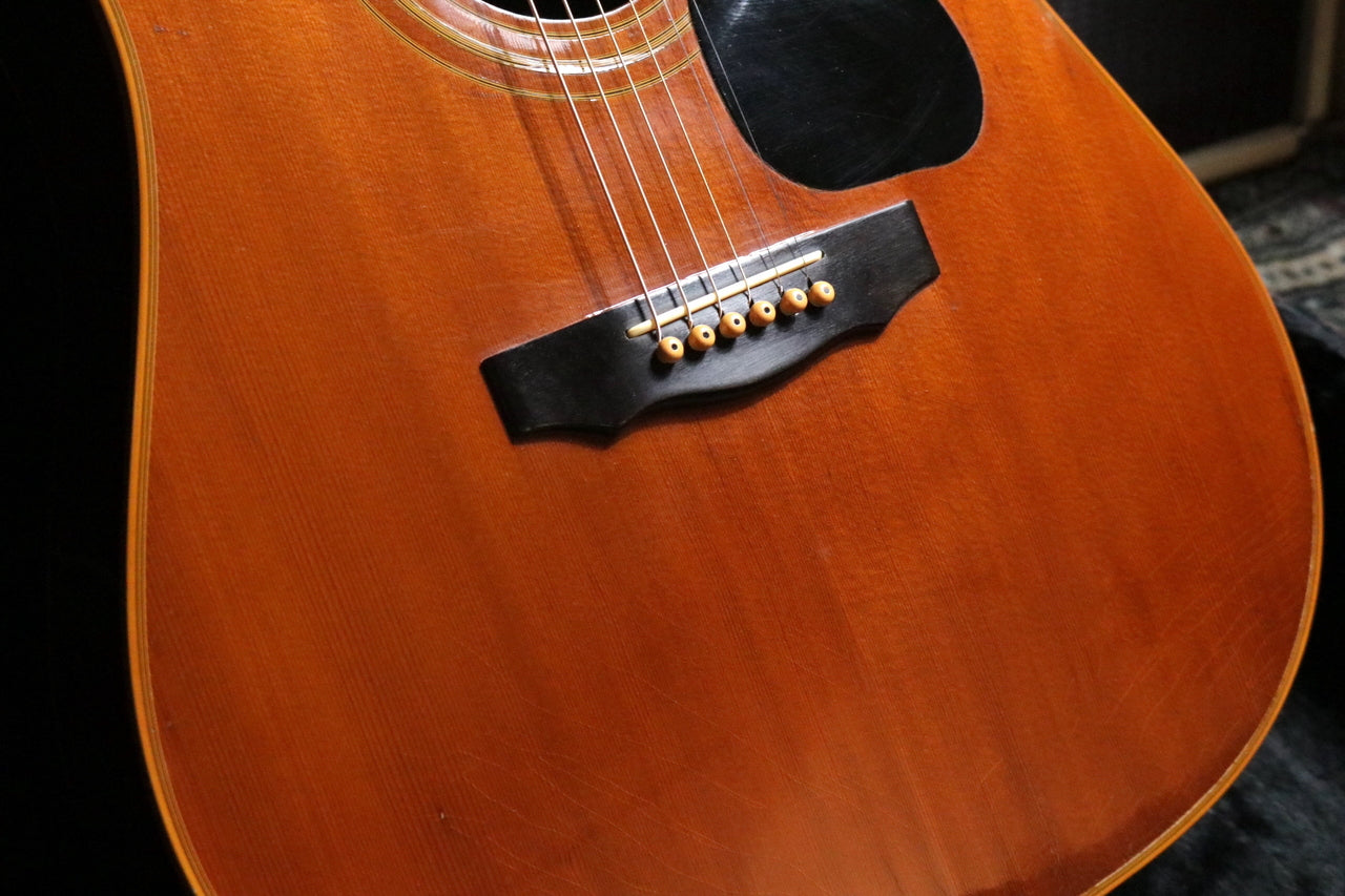 GUILD D-50 NT 1981