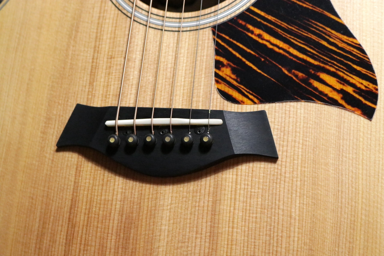 Taylor 50 Anniversary GS Mini-e Rosewood LTD [Taylor-certified repairman worker]