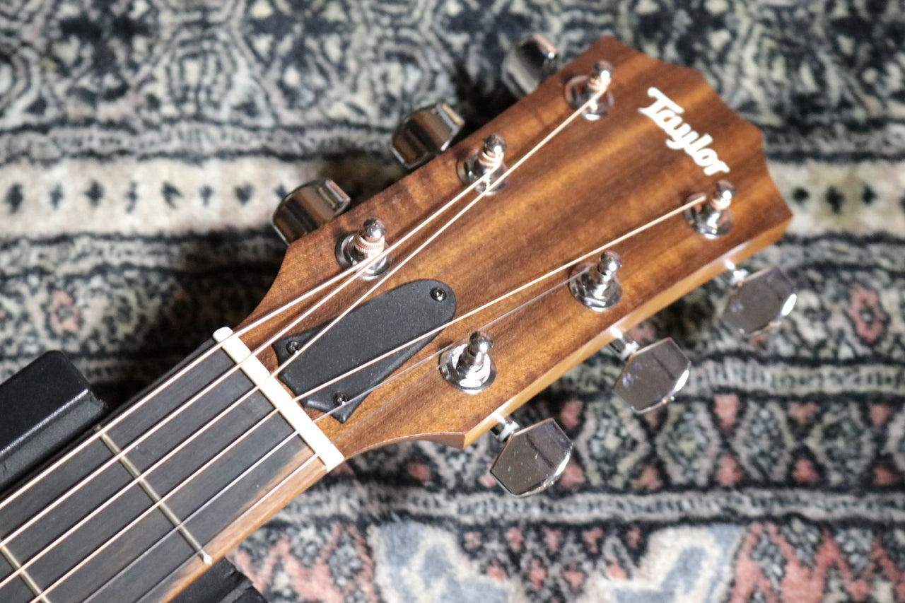 Taylor Academy 10 Special Edition by MION [Taylor certified repairman worker]