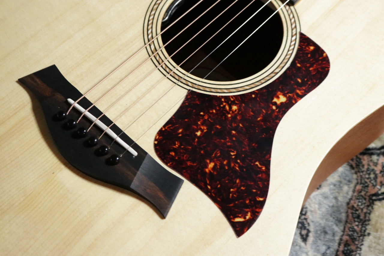 Taylor Academy 10 Special Edition by MION [Taylor certified repairman worker]