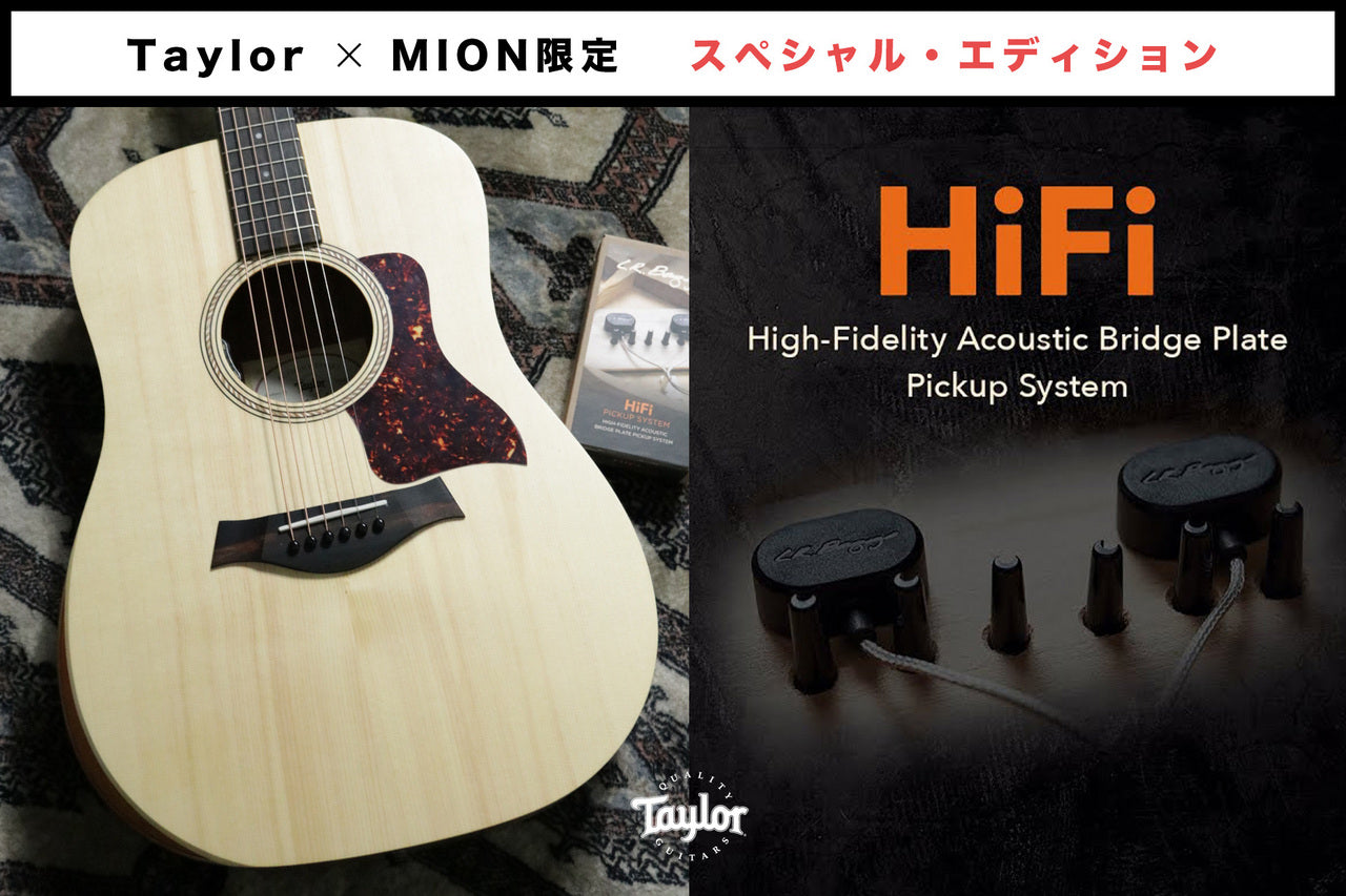 Taylor Academy 10 Special Edition by MION [Taylor certified repairman worker]