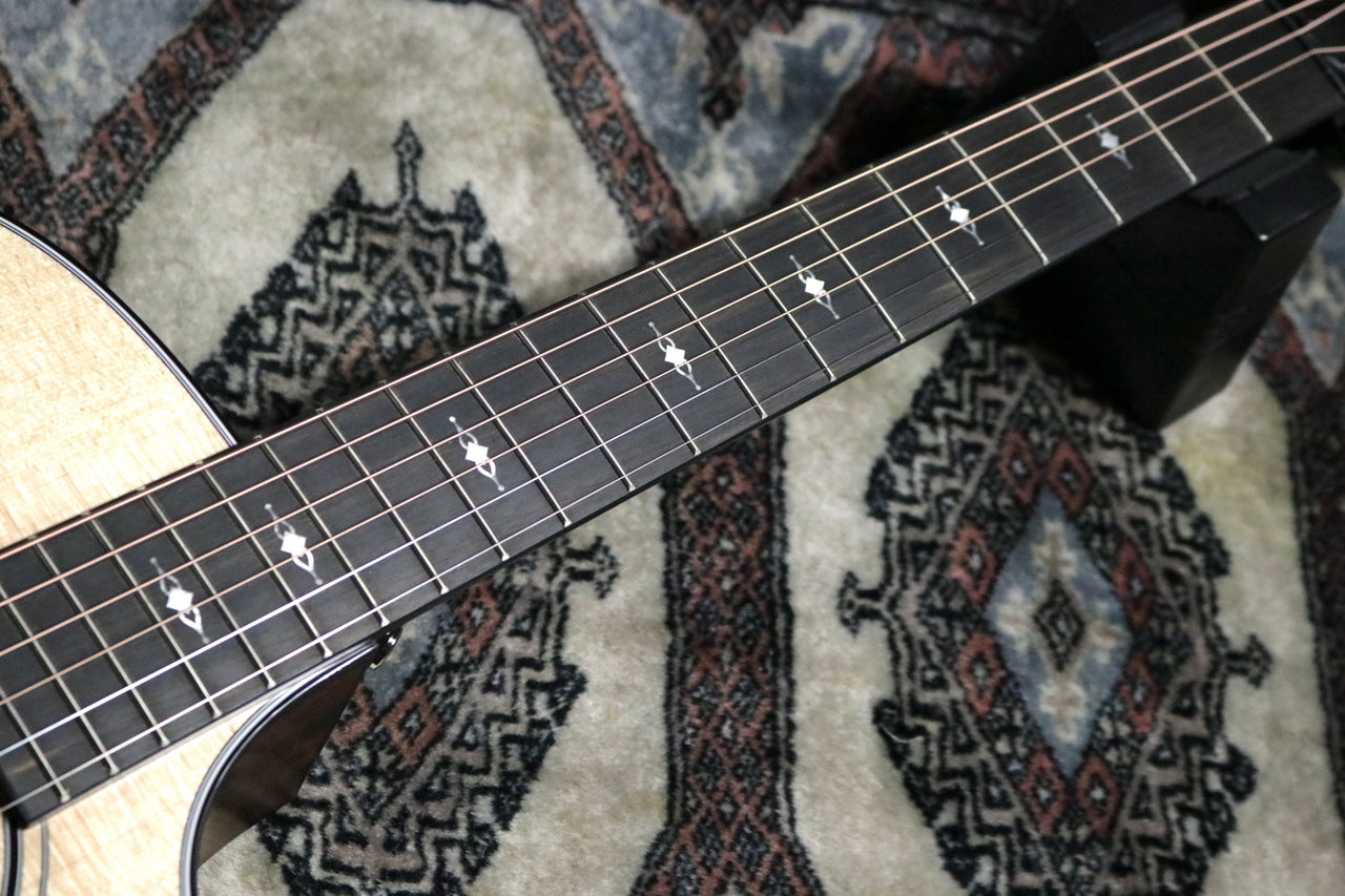 Taylor 314ce V-Class [Taylor certified repairman store]