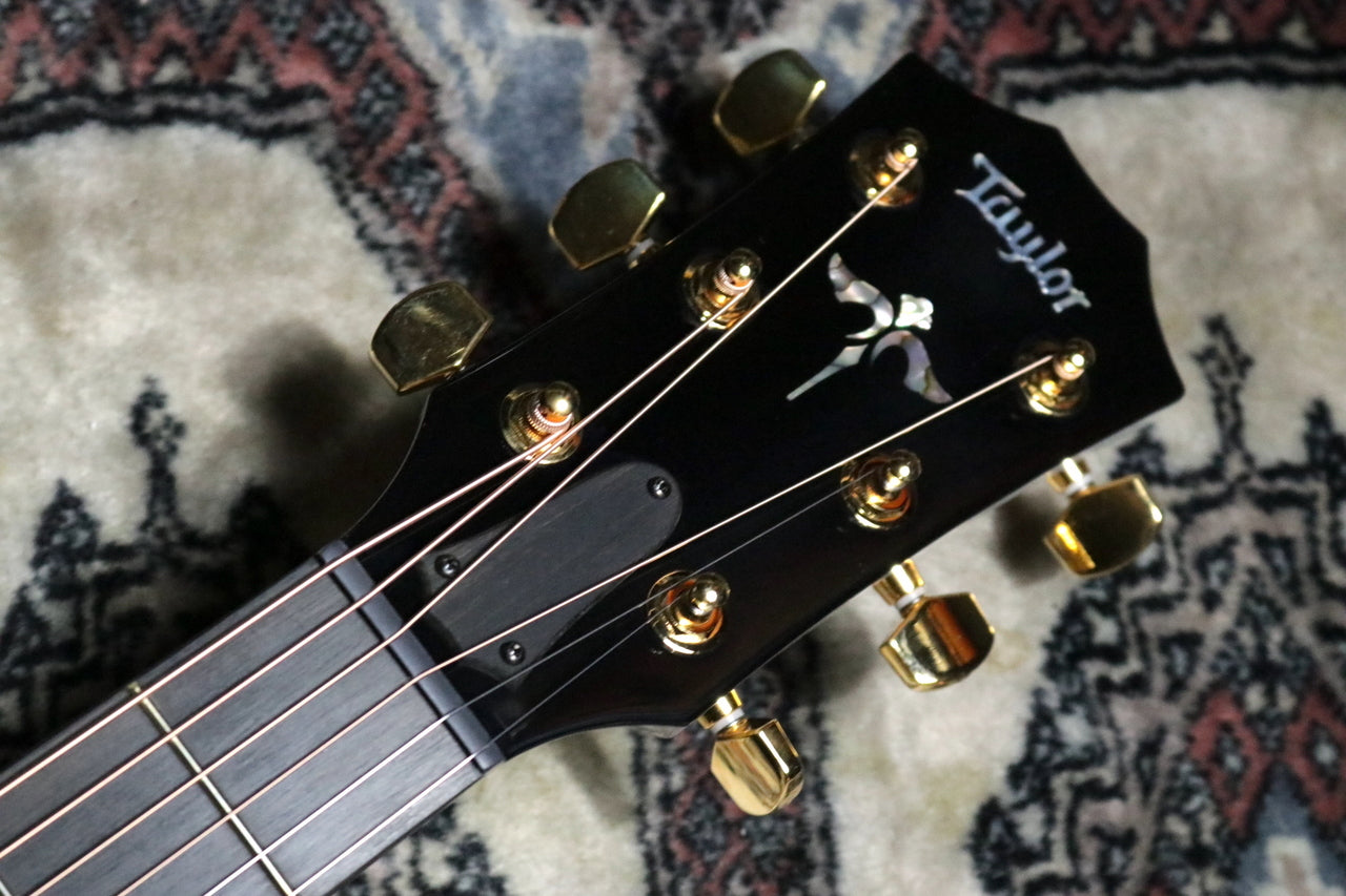Taylor 50th Anniversary 614ce LTD Trans White with Edgeburst 2024 Limited [Taylor-certified repairman store]