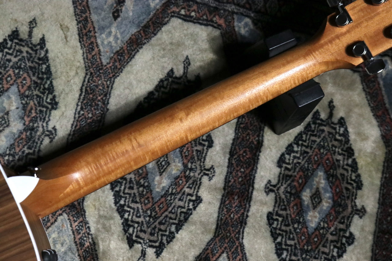 Taylor 214ce Walnut [Taylor certified repairman store]