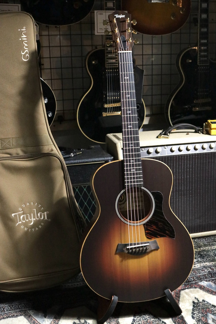 Taylor 50 Anniversary GS Mini-e Rosewood SB LTD [Taylor certified repairman worker]