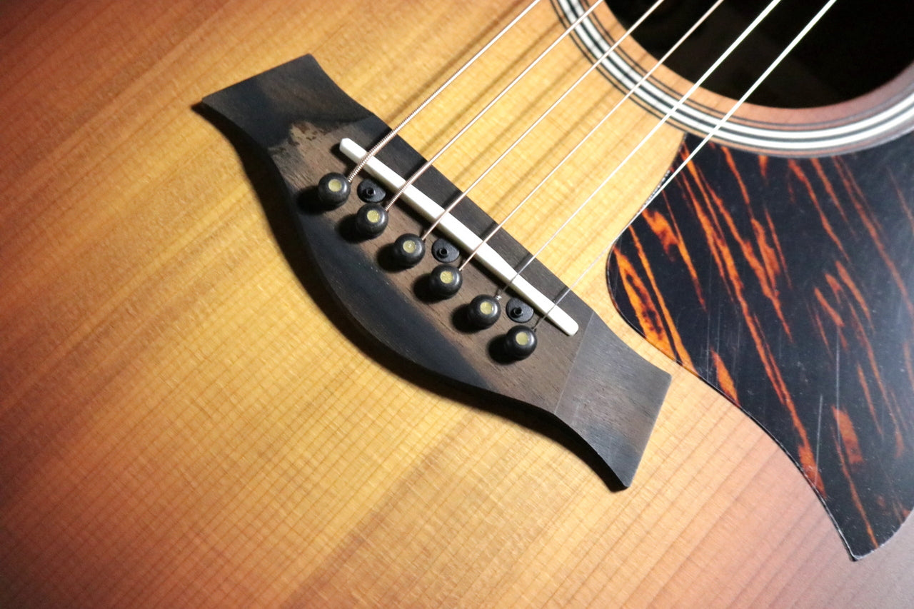 Taylor 50 Anniversary GS Mini-e Rosewood SB LTD [Taylor certified repairman worker]