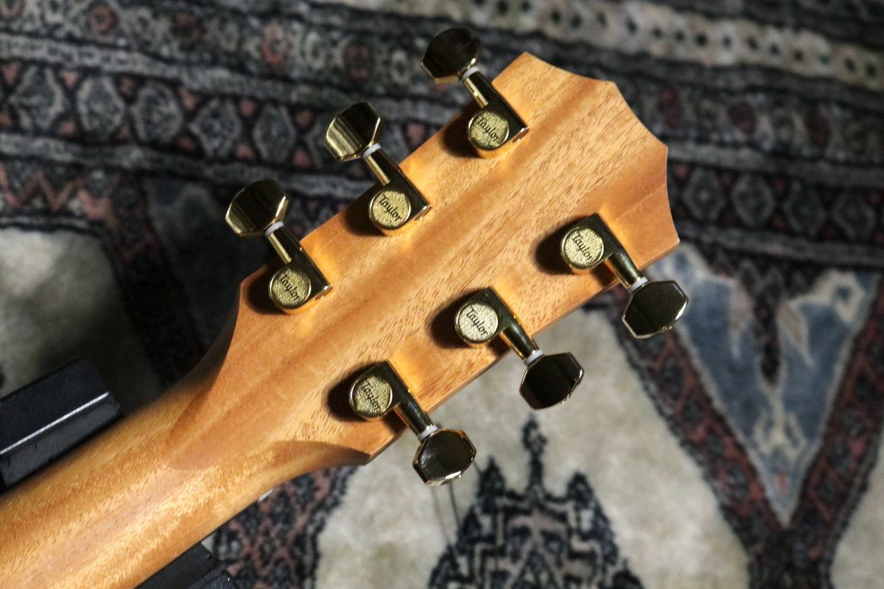 Taylor 50 Anniversary GS Mini-e Rosewood SB LTD [Taylor certified repairman worker]