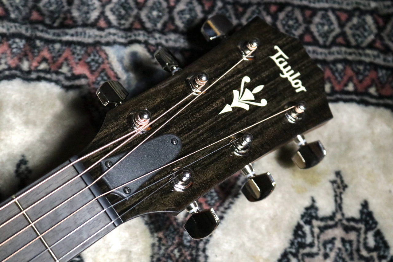 Taylor 512ce V-Class [Taylor certified repairman store]