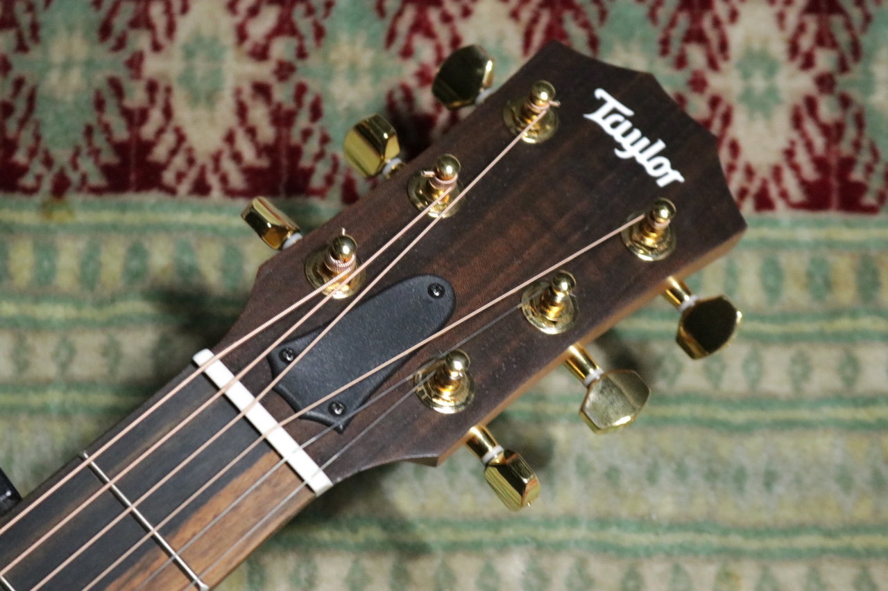 Taylor 50 Anniversary GS Mini-e Rosewood Natural LTD [Taylor-certified repairman worker]