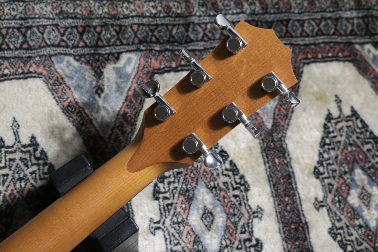 Taylor BBTe (Big Baby Taylor-e) Walnut [Taylor-certified repairman worker]