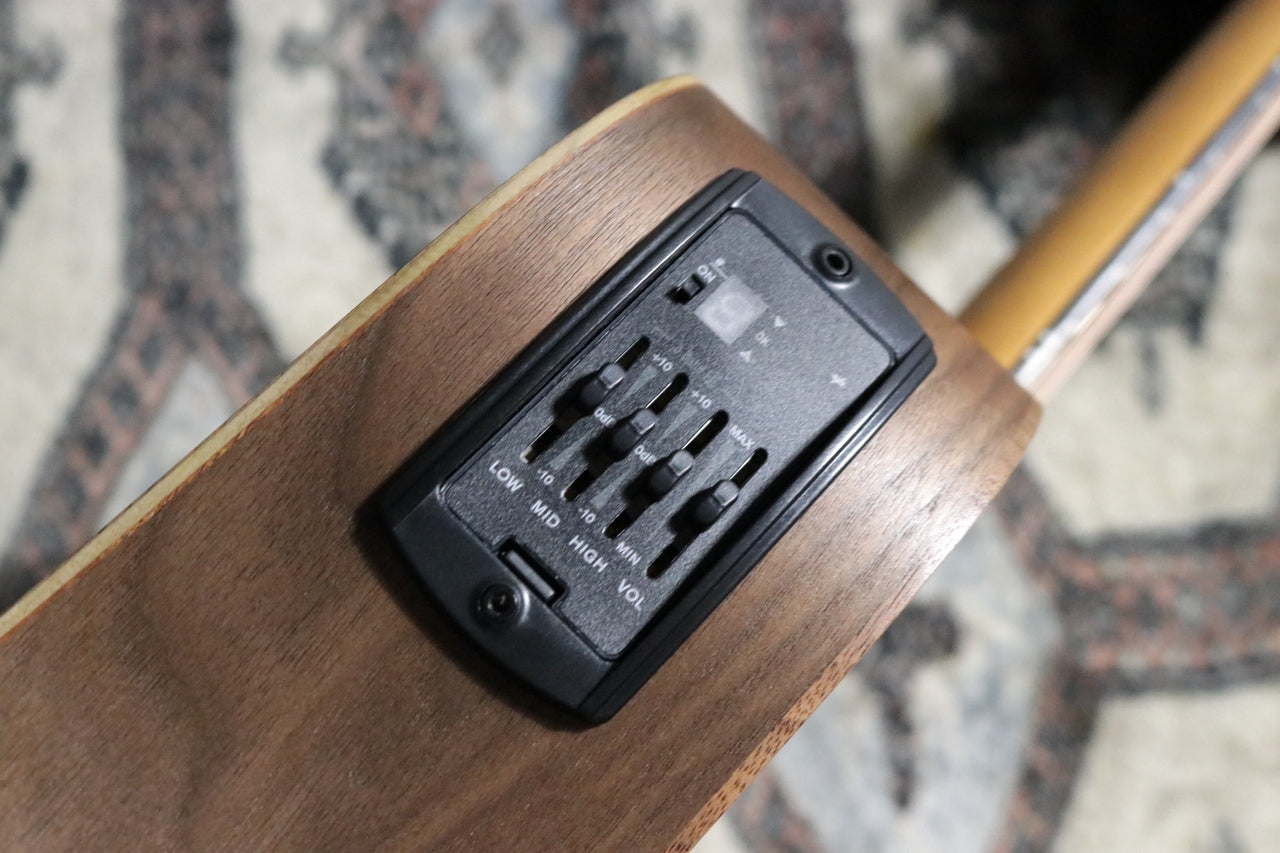 Taylor BBTe (Big Baby Taylor-e) Walnut [Taylor-certified repairman worker]