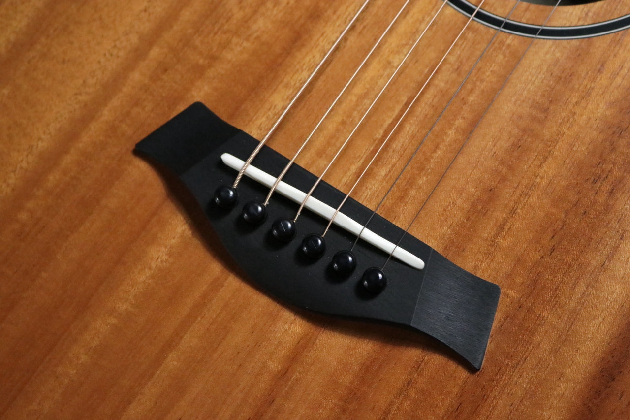 Taylor BT2 (Baby Taylor Mahogany) [Taylor certified repairman worker]