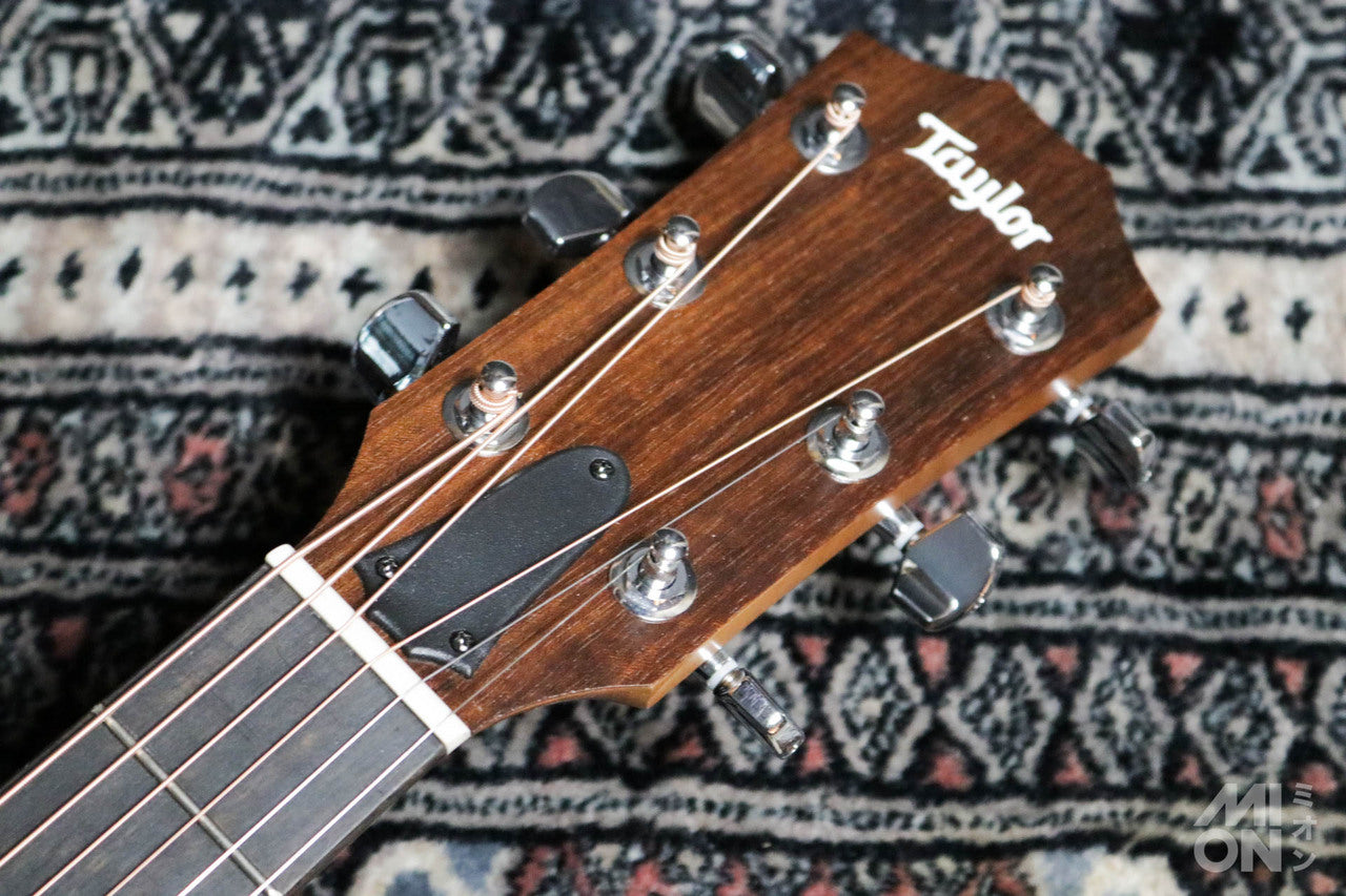 Taylor Academy 12 Special Edition by MION [Taylor certified repairman store]