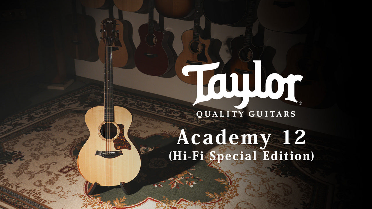 Taylor Academy 12 Special Edition by MION [Taylor certified repairman store]