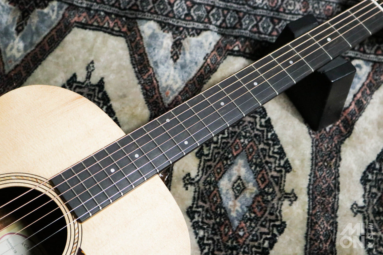 Taylor Academy 12 Special Edition by MION [Taylor certified repairman store]