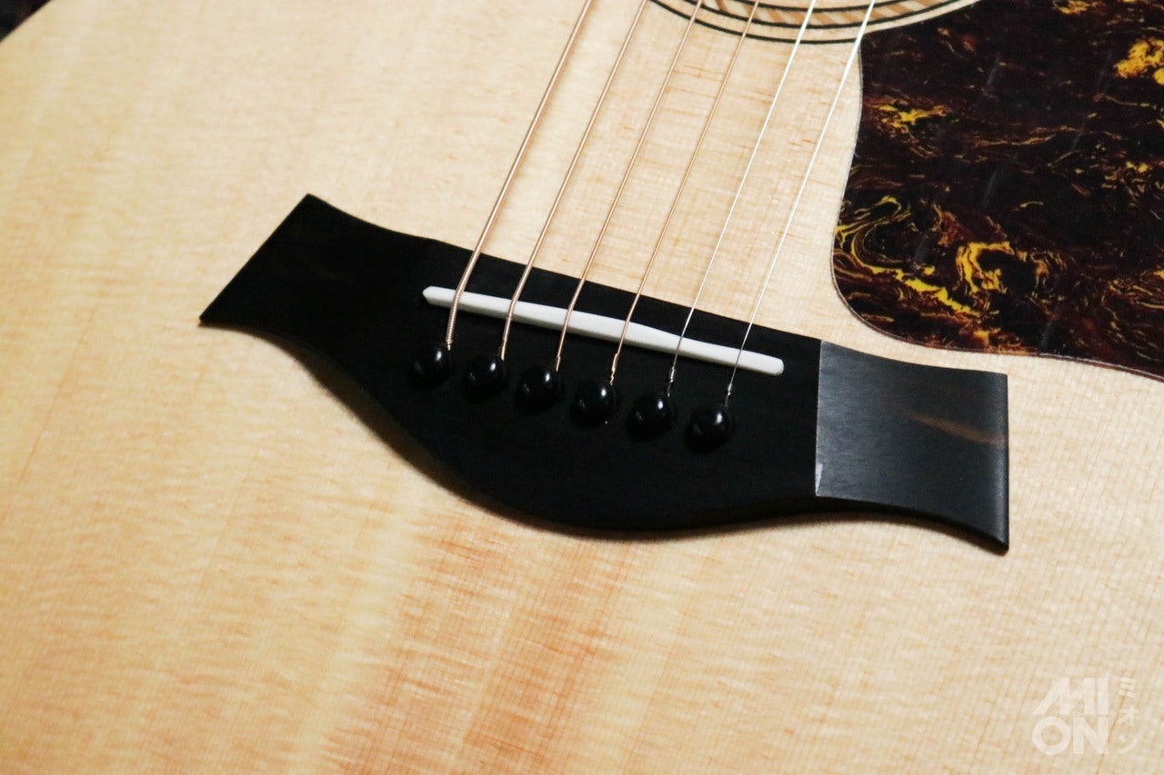 Taylor Academy 12 Special Edition by MION [Taylor certified repairman store]