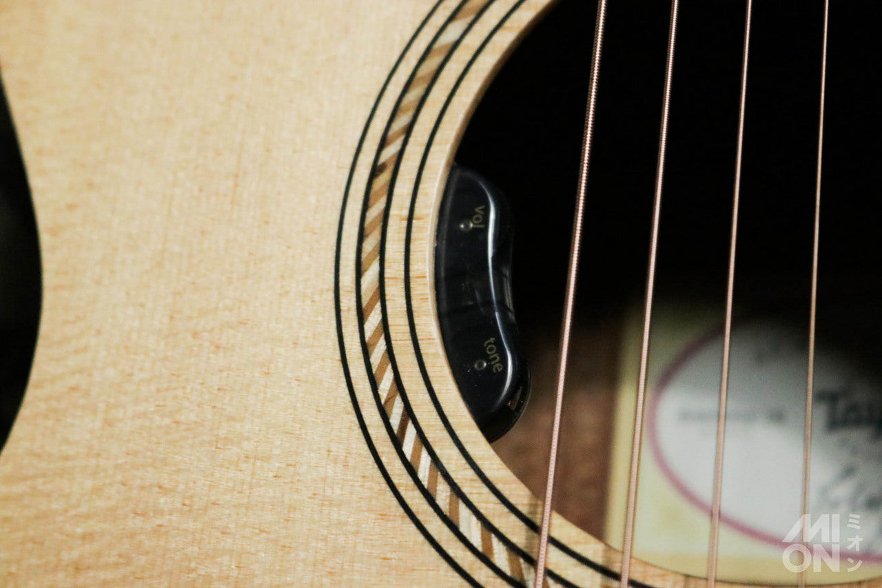 Taylor Academy 12 Special Edition by MION [Taylor certified repairman store]