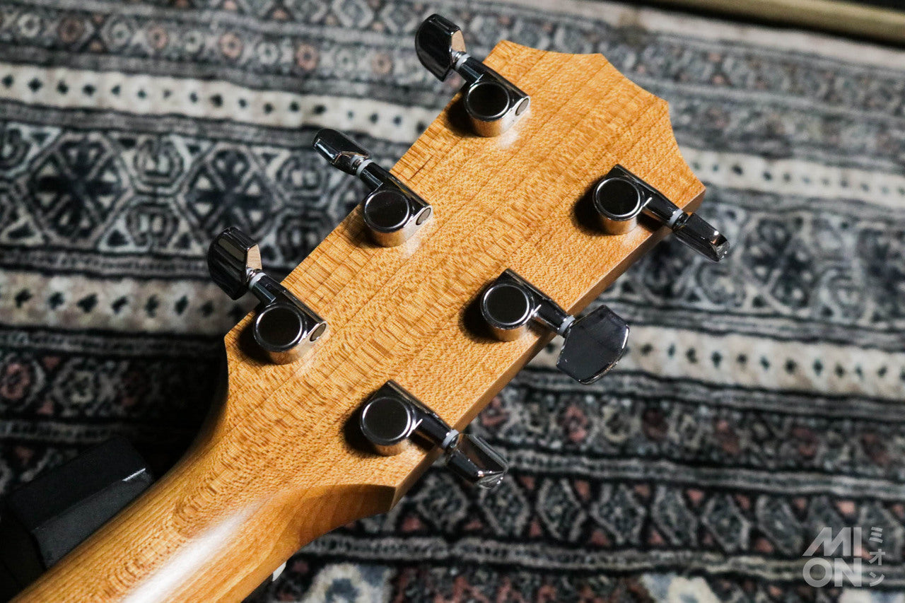 Taylor Academy 12 Special Edition by MION [Taylor certified repairman store]