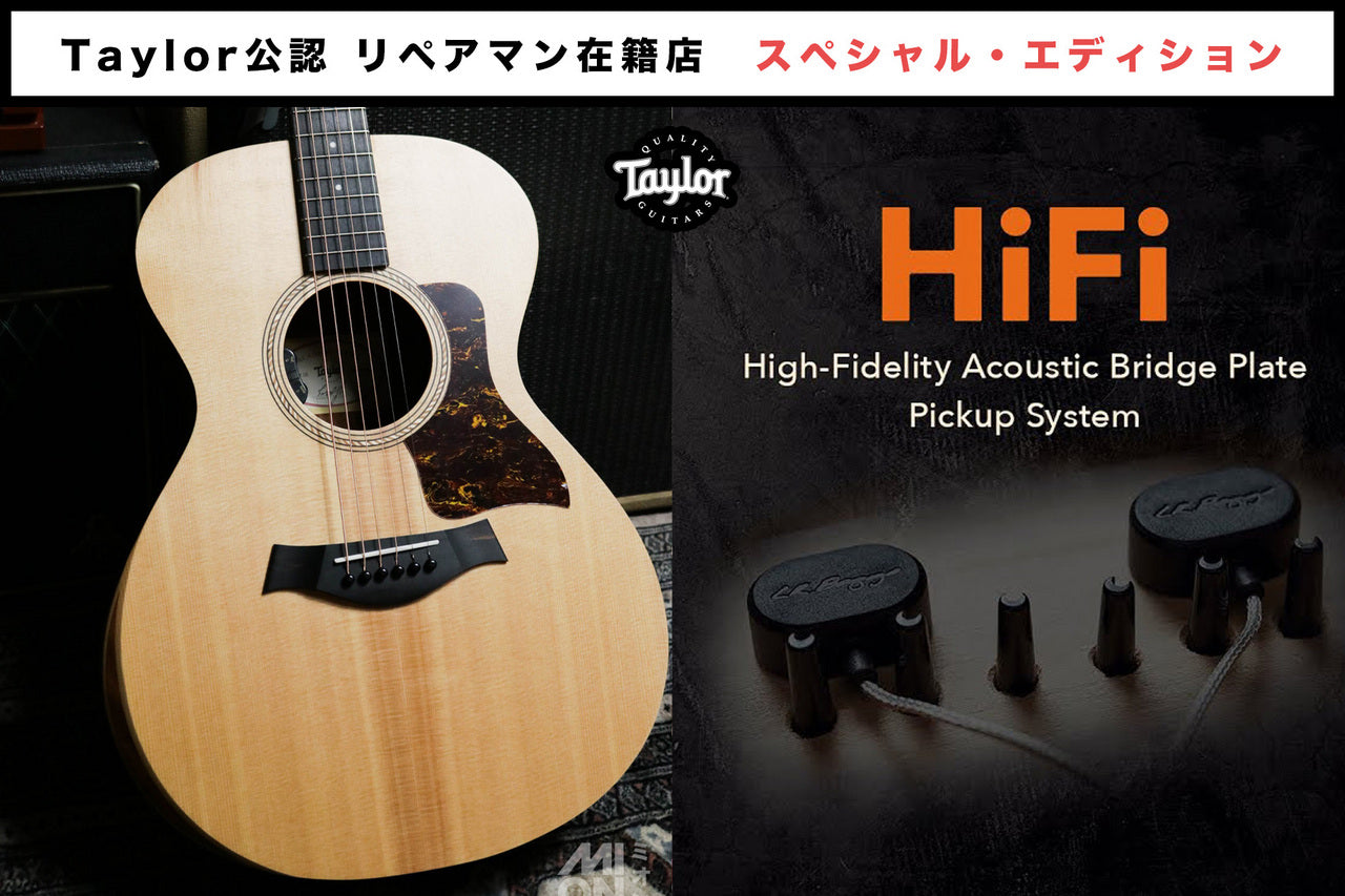 Taylor Academy 12 Special Edition by MION [Taylor certified repairman store]