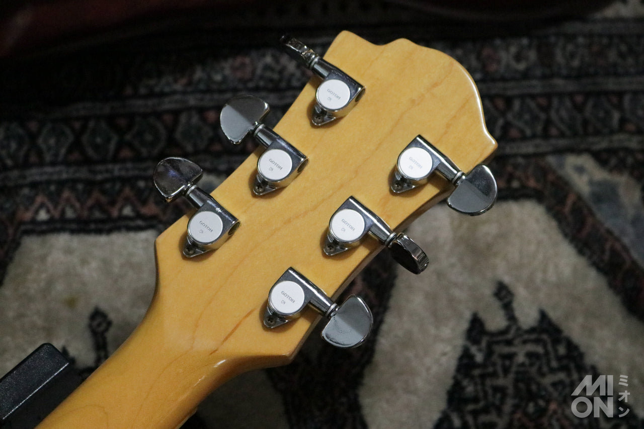 FERNANDES MG-70X
