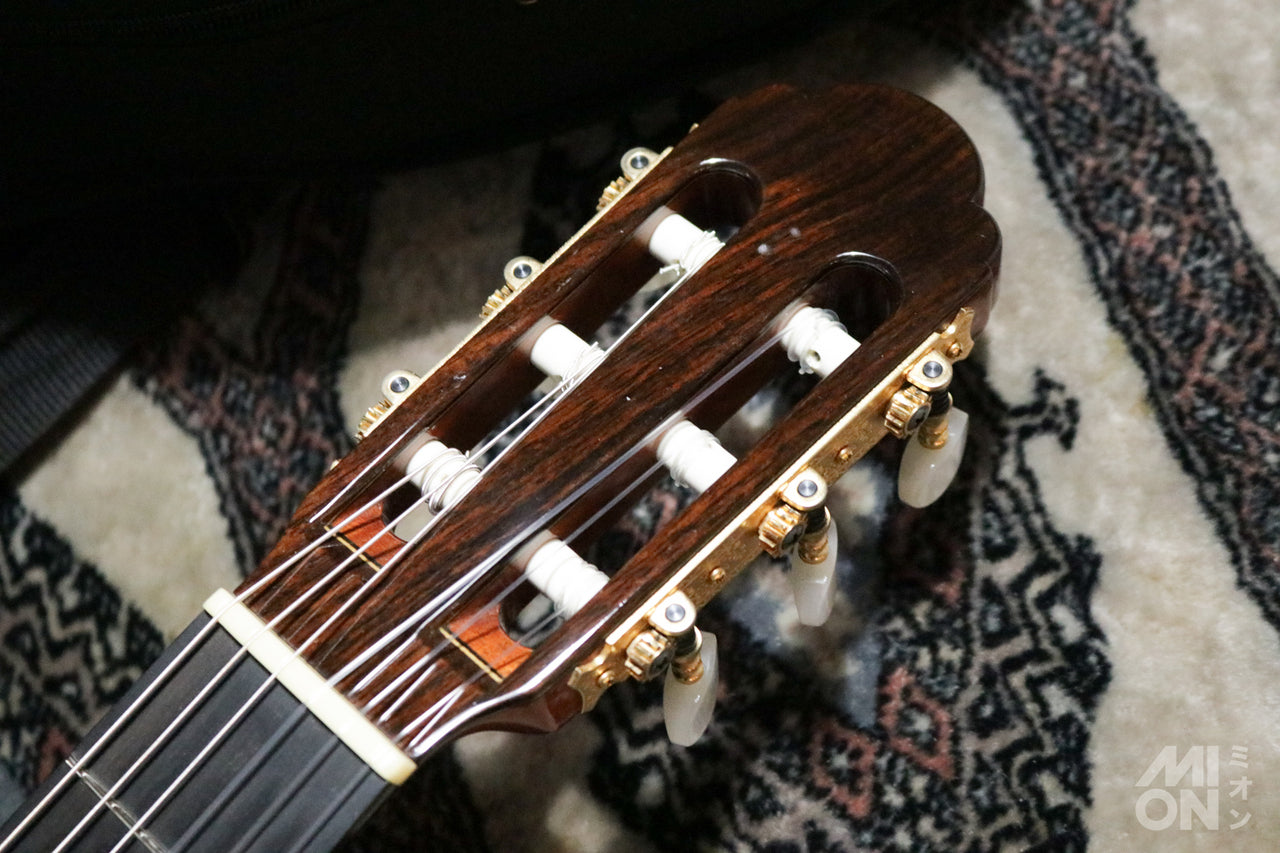ARIA A-200S