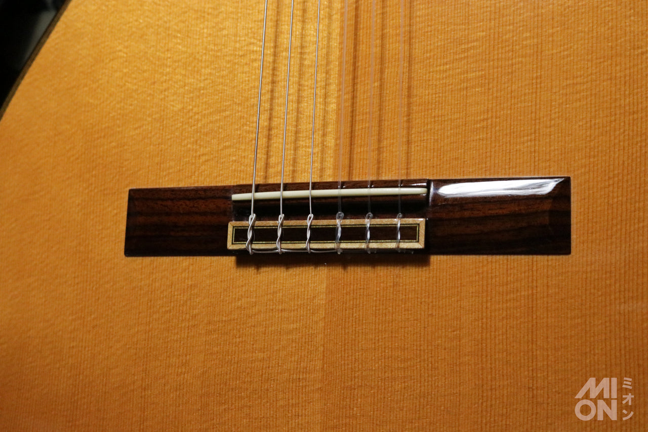ARIA A-200S