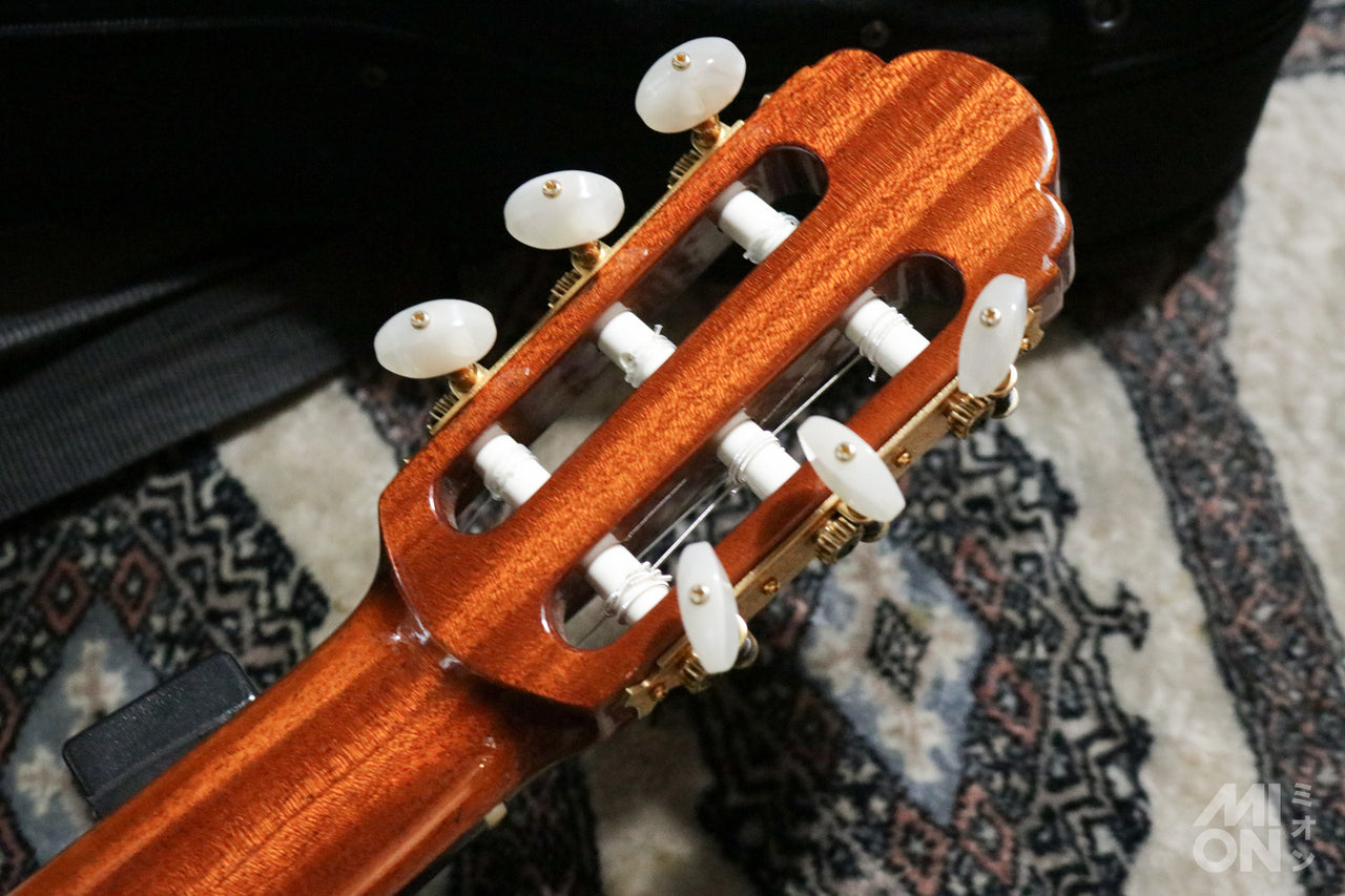 ARIA A-200S