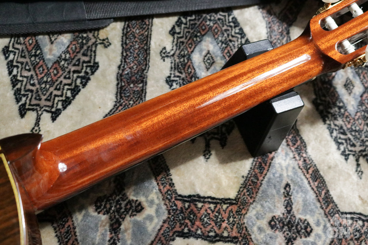 ARIA A-200S