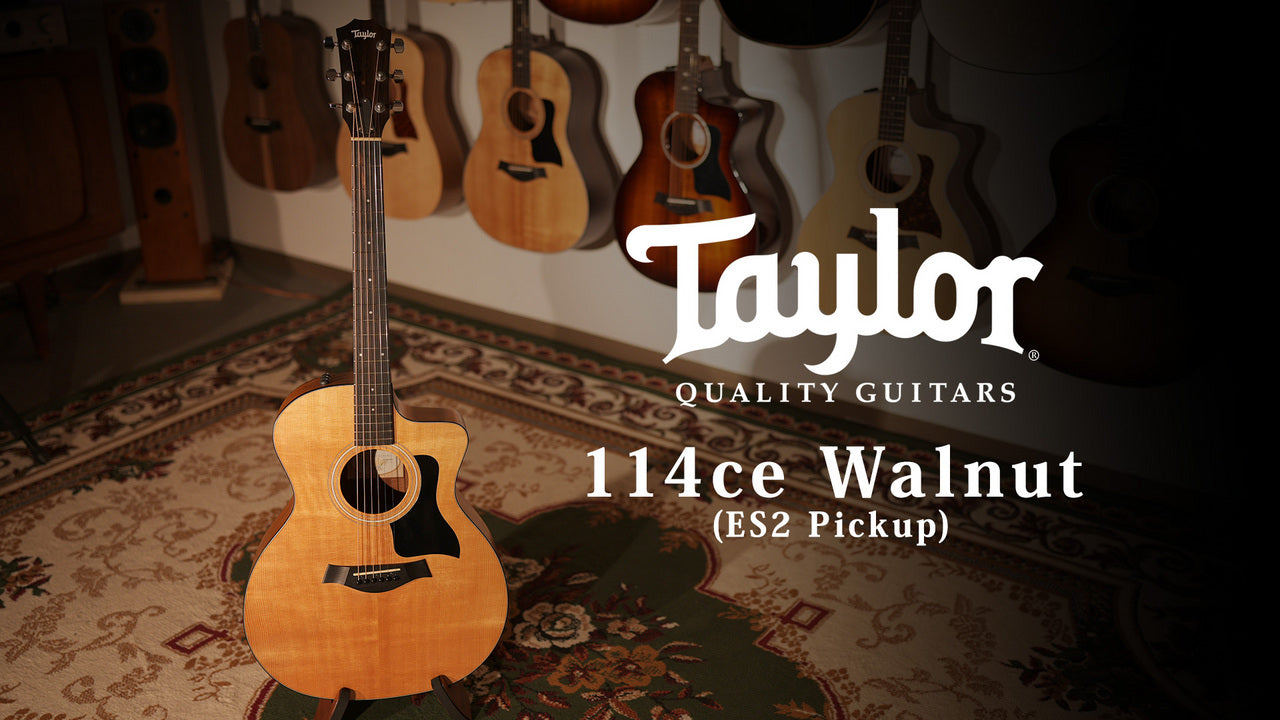 Taylor [Trial video included] 114ce Walnut 2017 [Taylor certified repairman worker]
