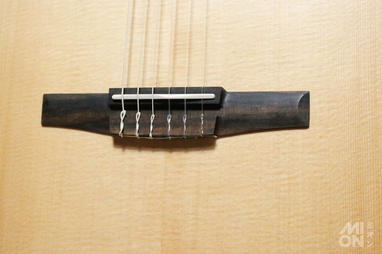 Taylor [Tested video included] 112ce-N [Latest Elemental Model] [Taylor-certified repairman worker]