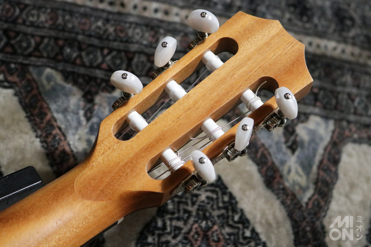 Taylor [Tested video included] 112ce-N [Latest Elemental Model] [Taylor-certified repairman worker]