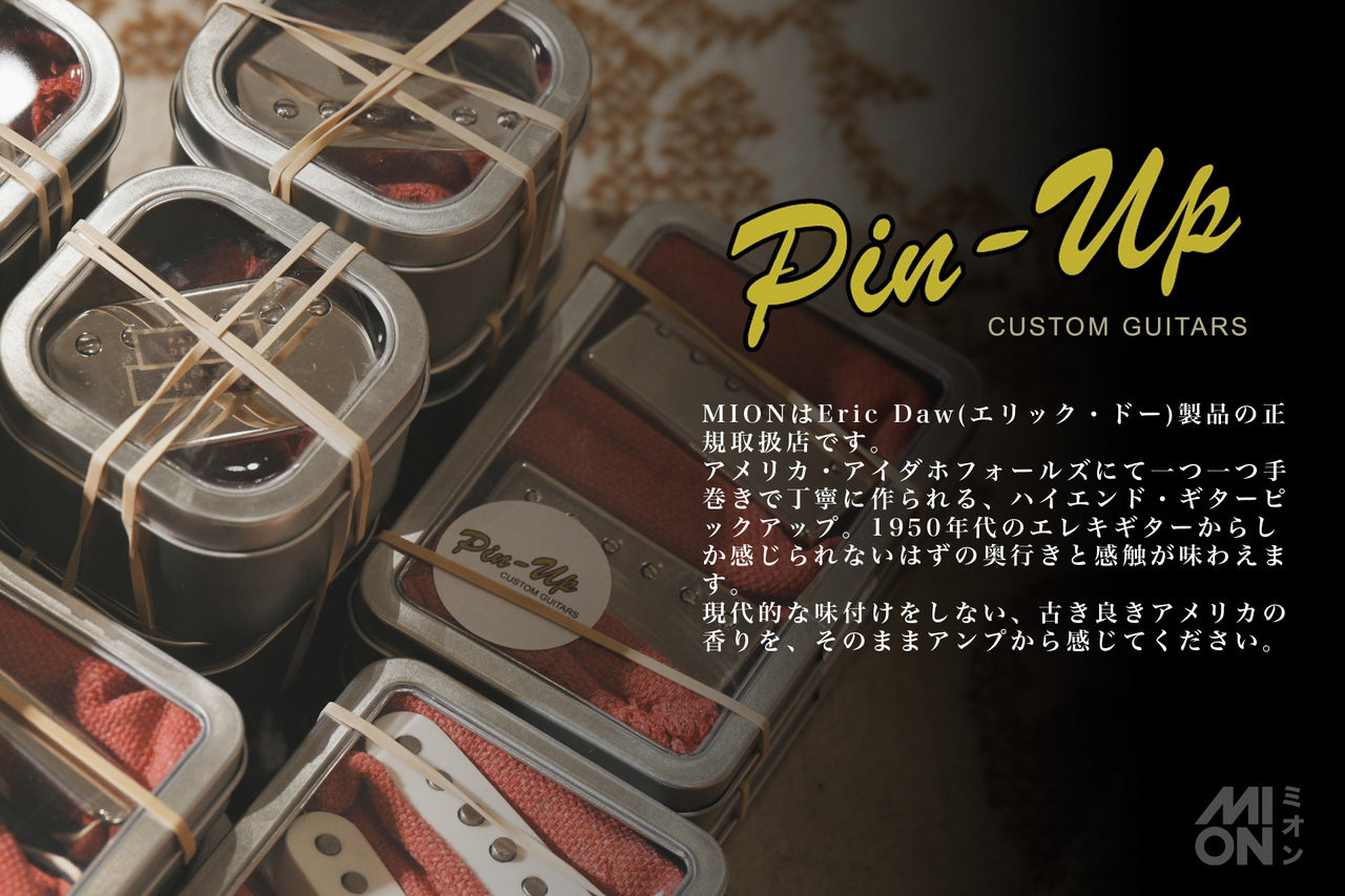 Eric Daw Custom Guitars "P90" Style Soap bar Pickups Black