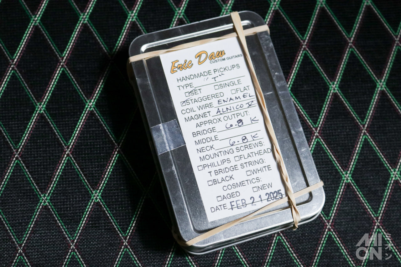 Eric Daw Custom Guitars "T" Style Pickups