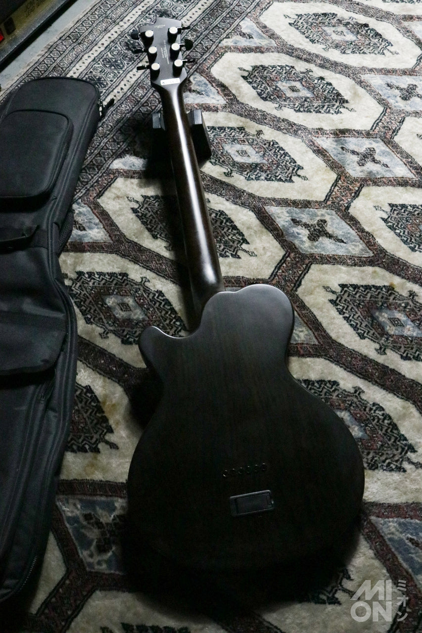 FUJIGEN(FGN) JFL-FT-ASH-DE664-M 2016 (J-Standard Series)