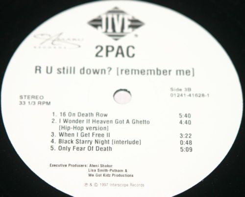 R U Still Down? [Remember Me]