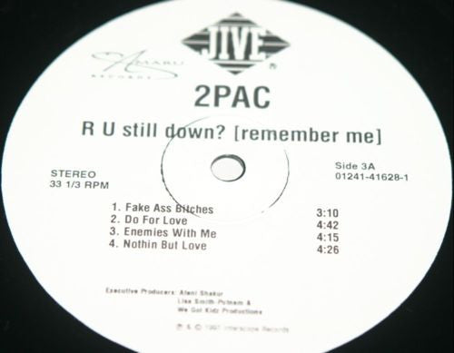 R U Still Down? [Remember Me]
